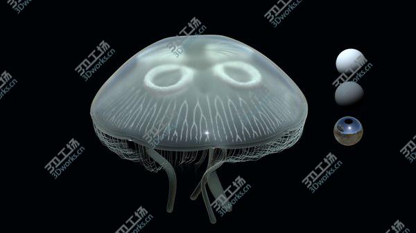 images/goods_img/20210312/jellyfish 3D model/5.jpg